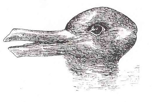 The duck-rabbit drawing, with long shapes that can be read as a duck’s bill or a rabbit’s ears.