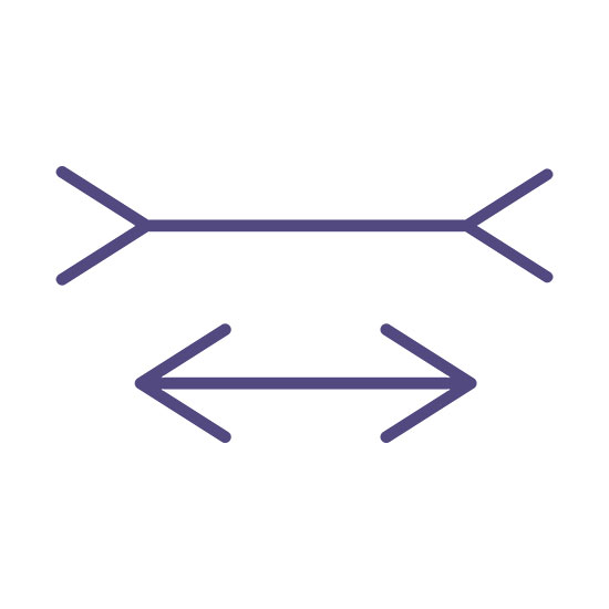 Two purple line segments with inward and outward fins in the Müller-Lyer illusion.