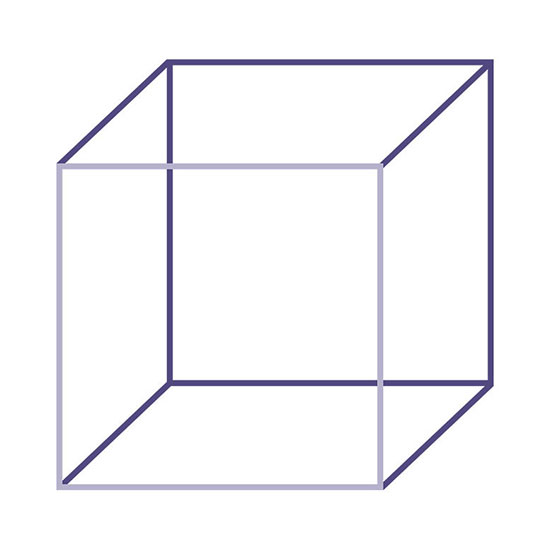 Two Necker cube drawings joined vertically to compare ambiguous depth orientations.