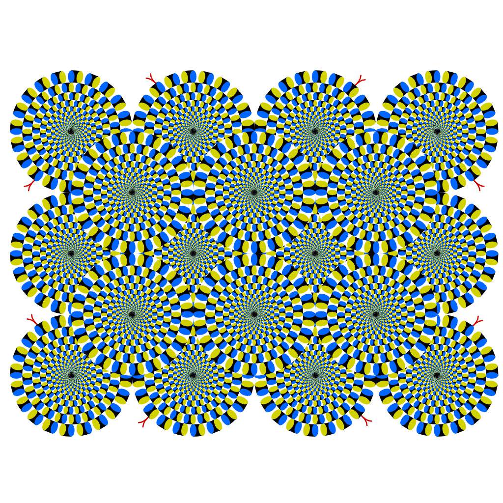 Circular arrangements of coloured segments appear to rotate in the static Rotating Snakes illusion.