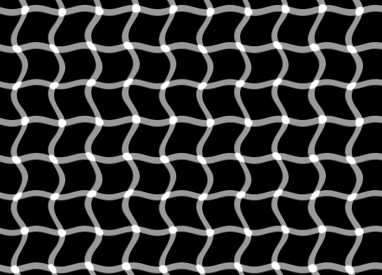 White dots lie on intersections of curved grey grid lines against black.