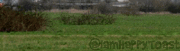 An animated cropped view of the pylon demonstration with foreground grass and part of a tower.