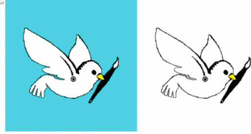 Two dove outlines compared against cyan and white backgrounds.