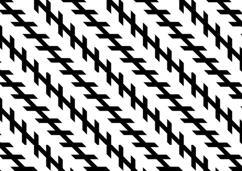Parallel diagonal black lines crossed by shorter angled strokes in the Zöllner illusion.