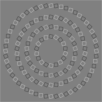 Pinna’s Intertwining Circles — Concentric circles seem to intertwine.